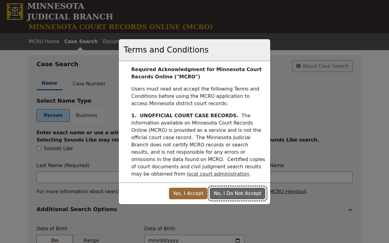 Lyon County warrant search tabs in the Minnesota Court Records Online case search